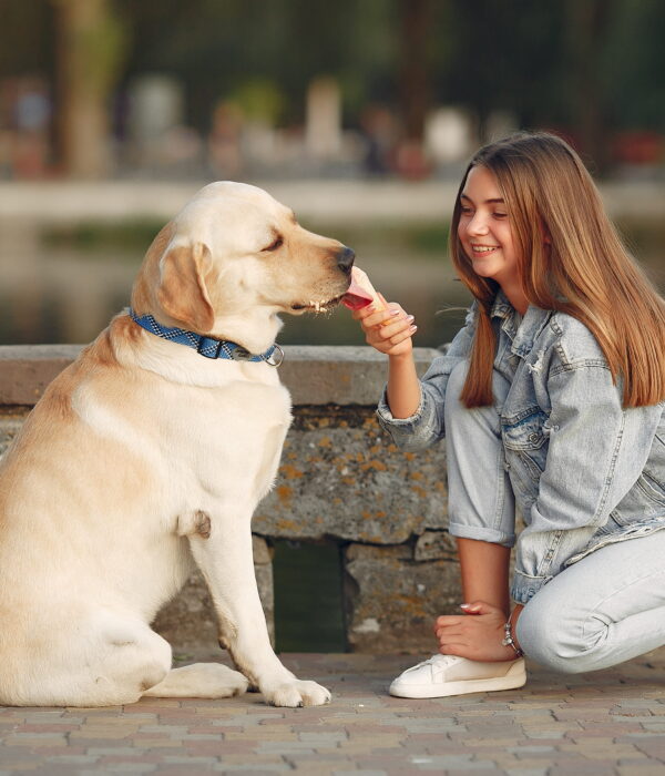 The Costliest Dog Breed-5268233