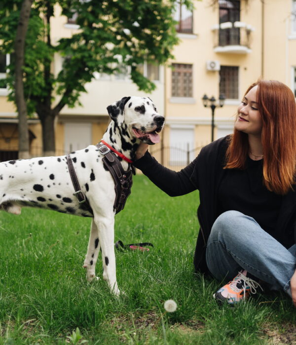 75460-75462 Best Pet Turf for Dogs: What Is It?