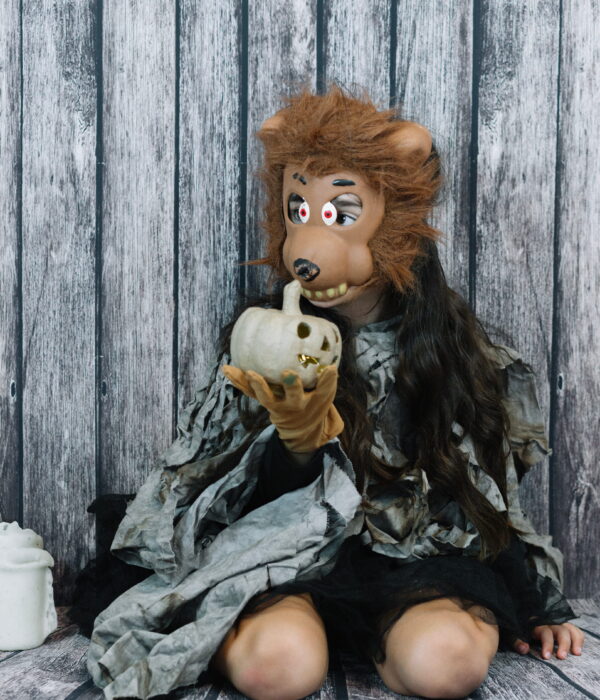 What Are the Best Pets for Damage in Hunty Zombie?