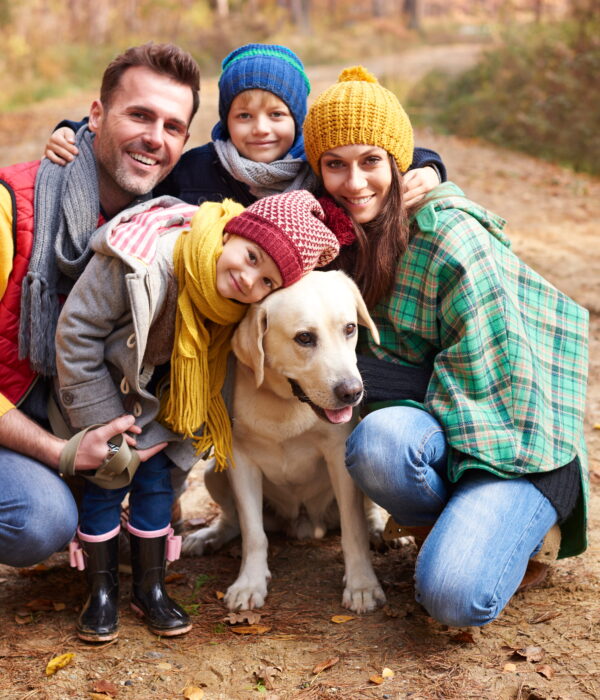 Best Family Dogs List In USA