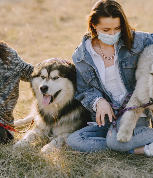 12512830217 What Dog Breed is Right for Me Quiz