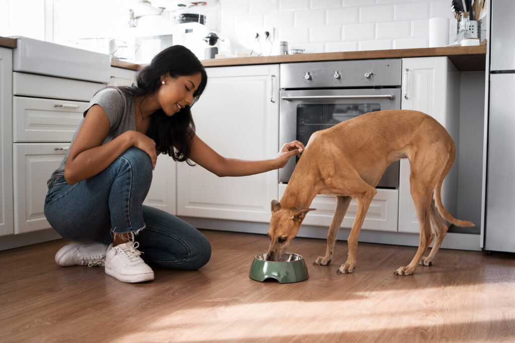 How Long Does It Take a Dog to Digest Food?-thesprucepets