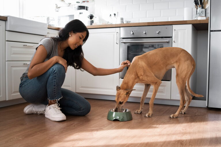 How Long Does It Take a Dog to Digest Food?-thesprucepets